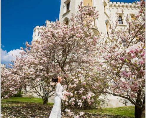 Wedding in the Hluboka Castle