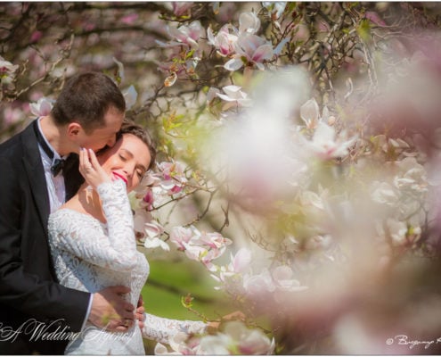 Wedding in the Hluboka Castle