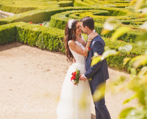 Wedding in the Dobris Castle