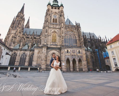 Wedding in the Dobris Castle